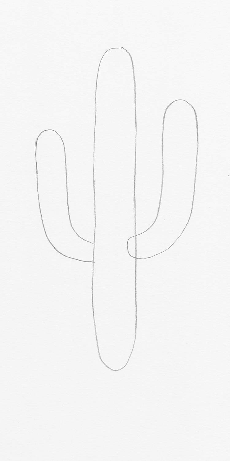 How to Draw a Cactus Step by Step