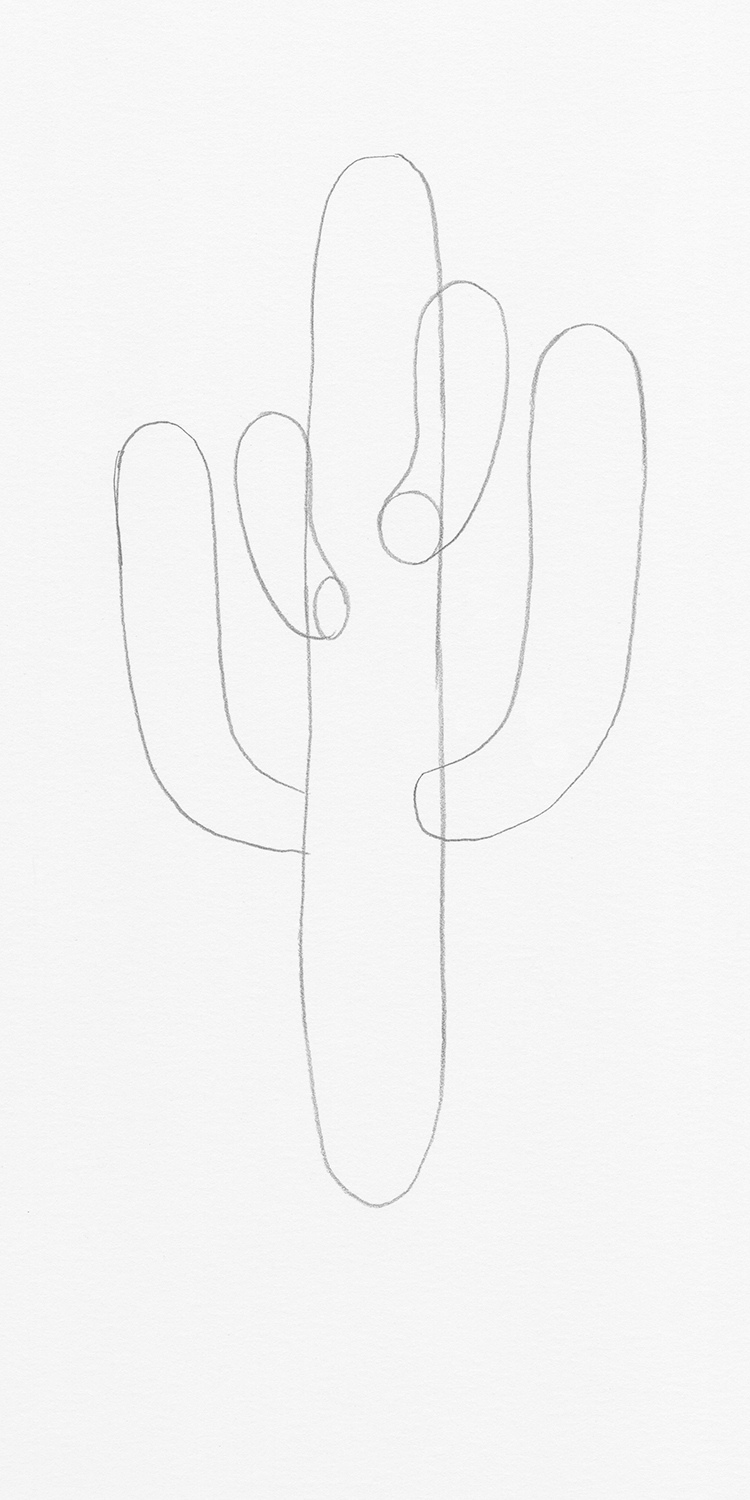 How to Draw a Cactus Step by Step