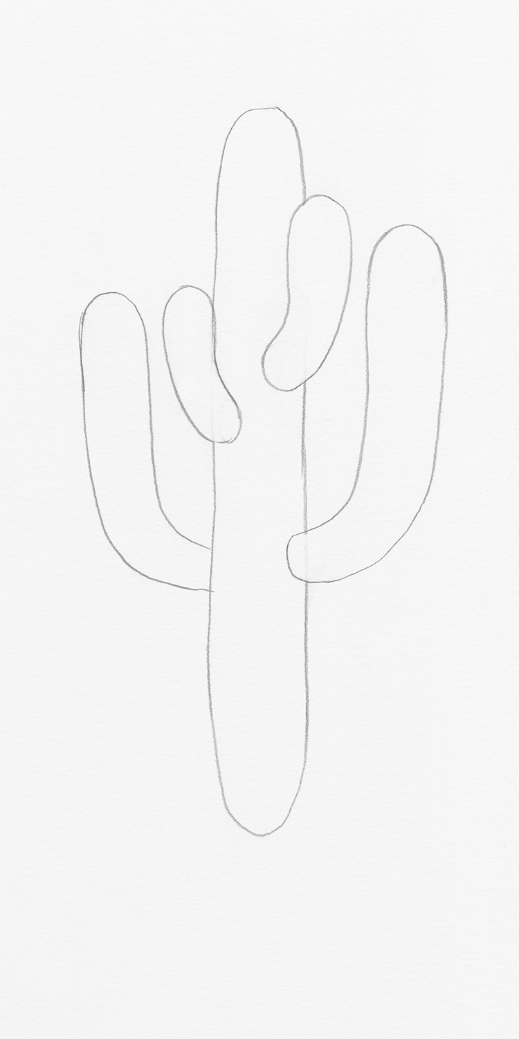 Cactus Drawing Art