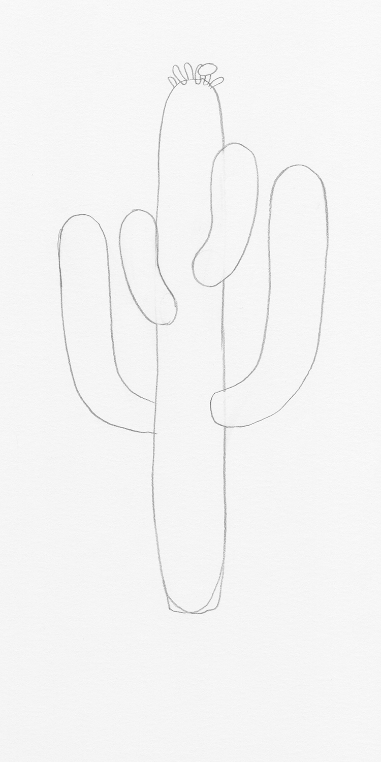 How to Draw a Cactus Step by Step