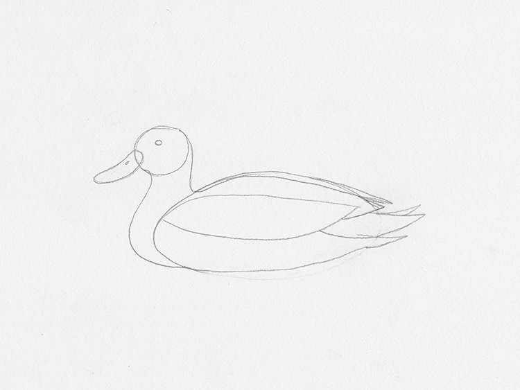 How to Draw a Duck Tutorial