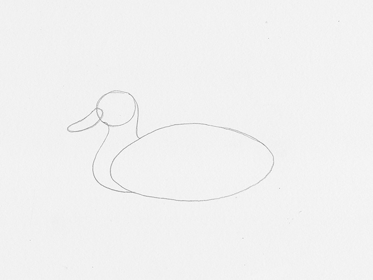 How to Draw a Duck Tutorial