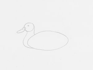 Learn How To Draw A Duck In 14 Steps