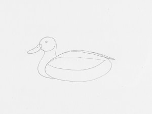 Learn How to Draw a Duck in 14 Steps