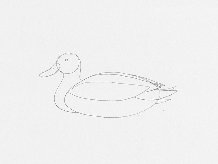 How to Draw a Duck Tutorial