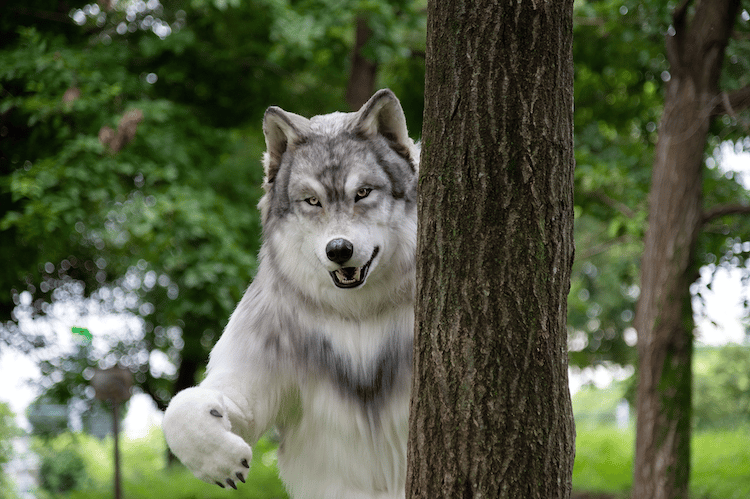 Lifelike Wolf Costume