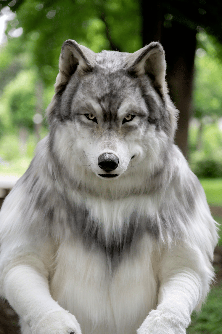 realistic wolf costume for kids