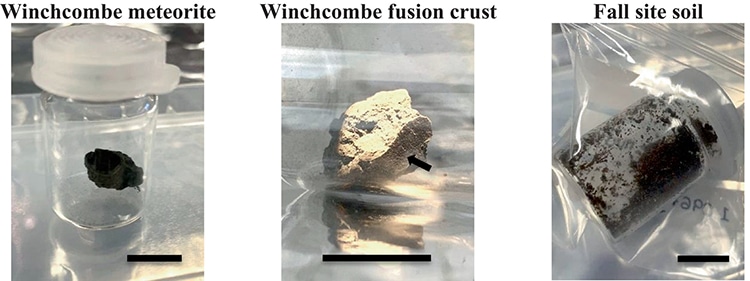 UK’s Winchcombe Meteorite Contains the Building Blocks of Life