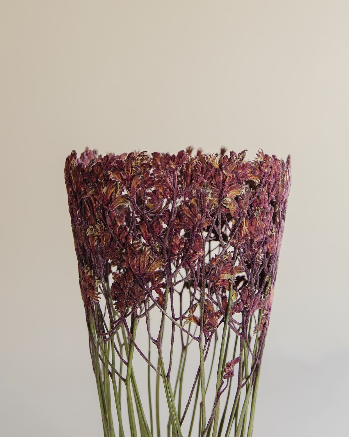 Dried Flower Sculptures by Shannon Clegg