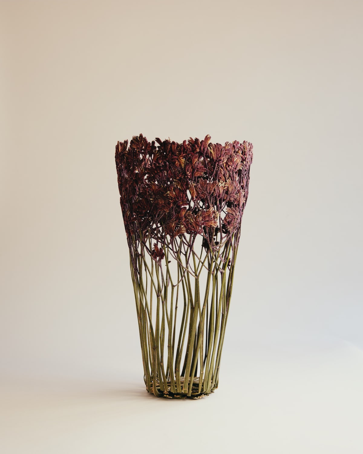 Dried Flower Sculptures by Shannon Clegg