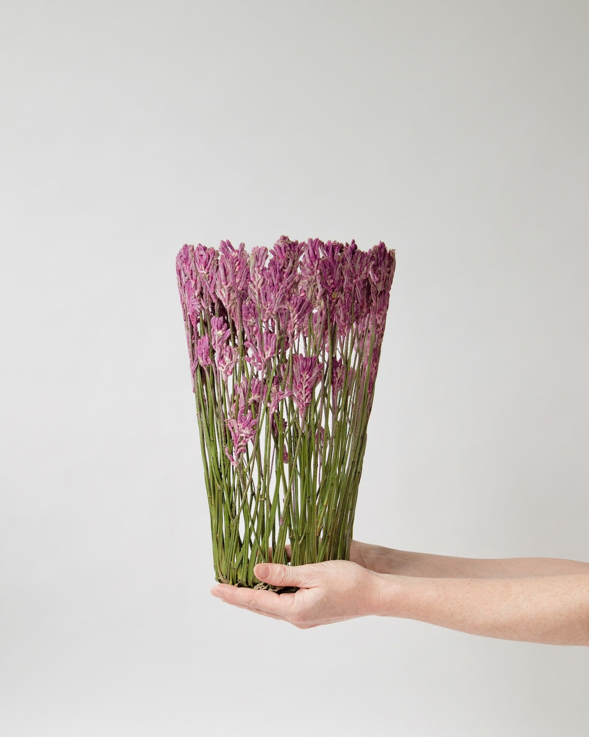 Dried Flower Sculptures by Shannon Clegg