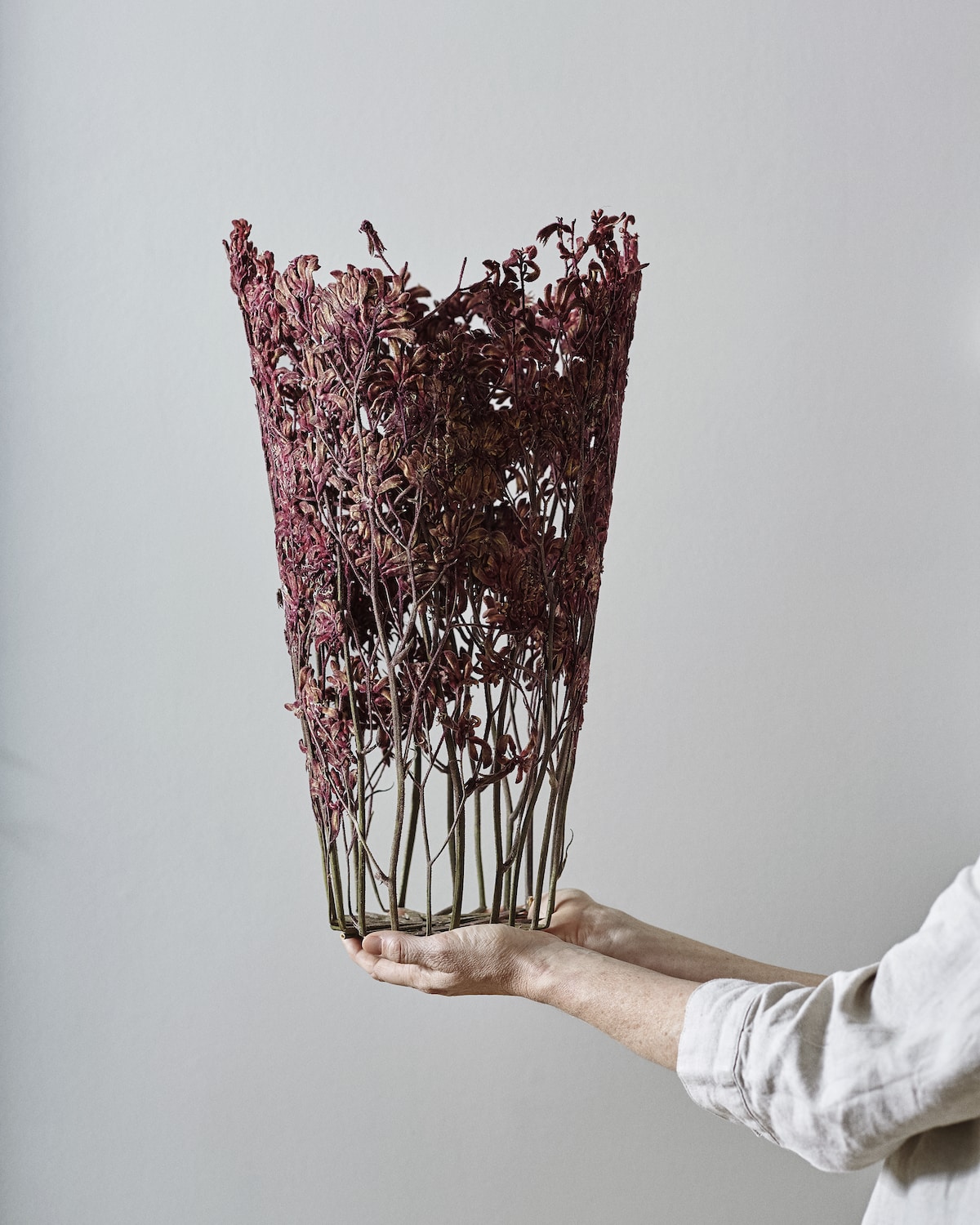 Dried Flower Sculptures by Shannon Clegg