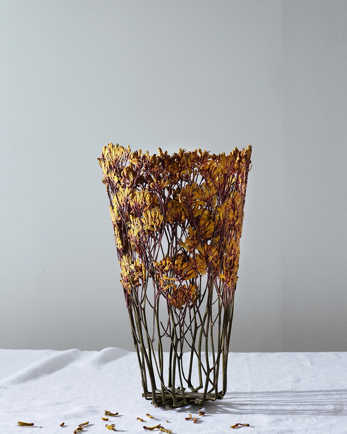 Dried Flower Sculptures by Shannon Clegg