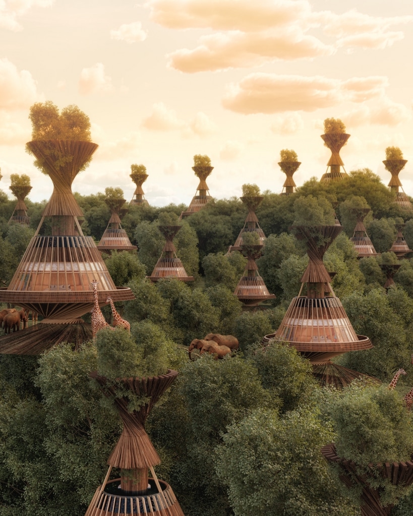 Luxurious Self-Sufficient Eco Lodge in Africa Nestled in the Trees