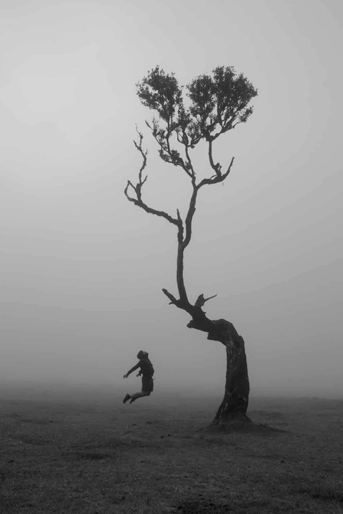 Someone Jumping Next to a Tree in Madeira Covered by Fog