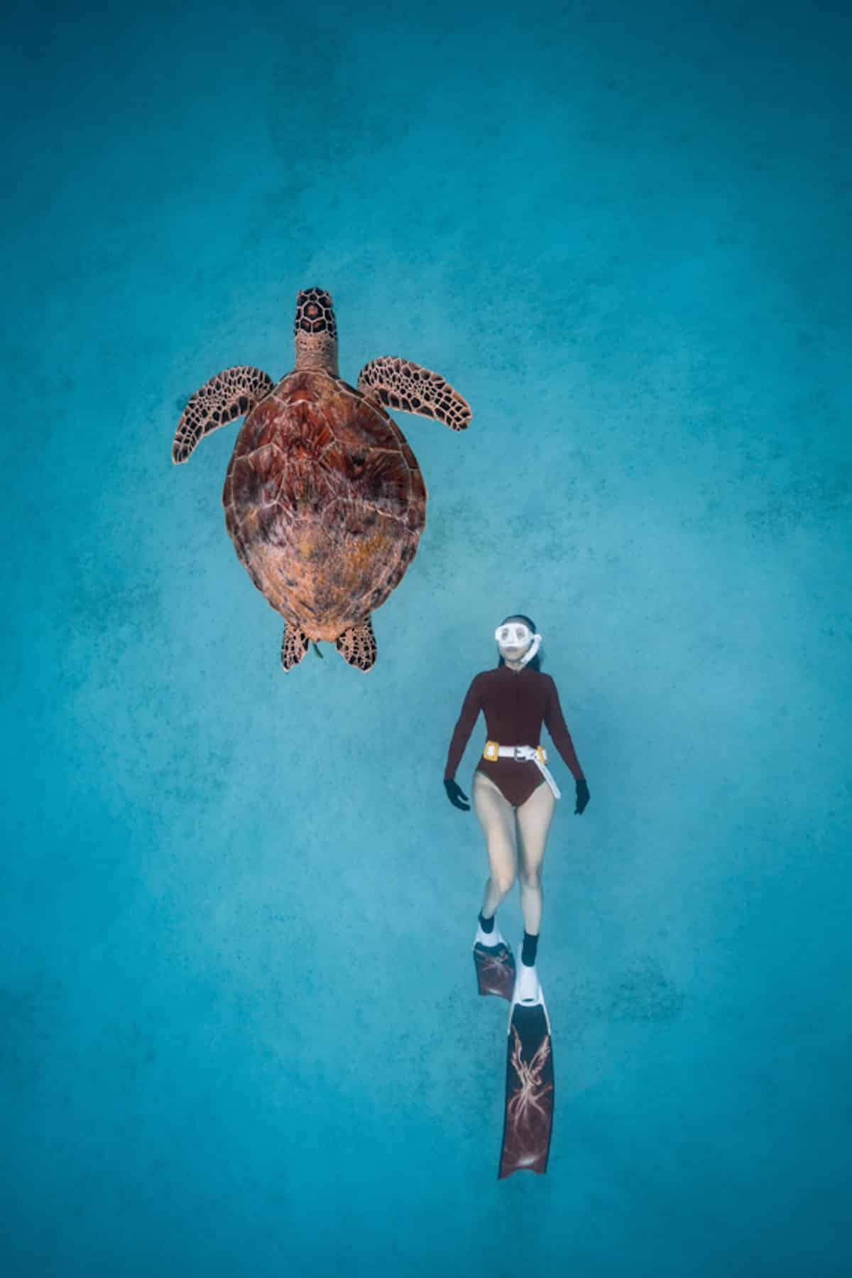 Woman Diving Alongside Sea Turtle