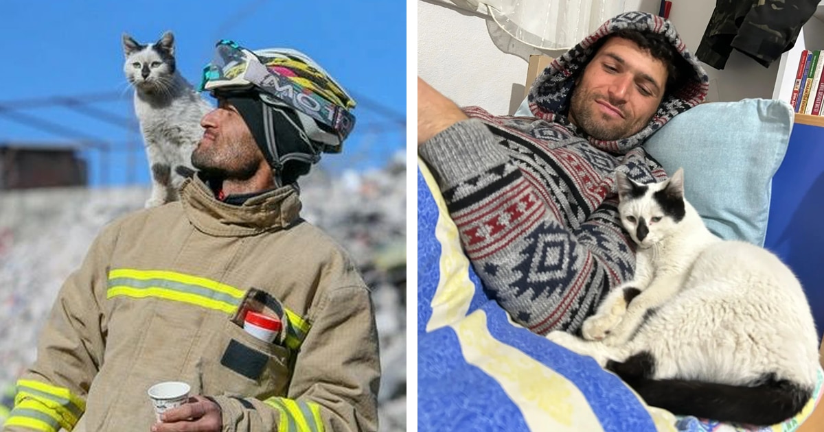 Cat Saved By Turkish Firefighter Wont Leave Rescuers Side