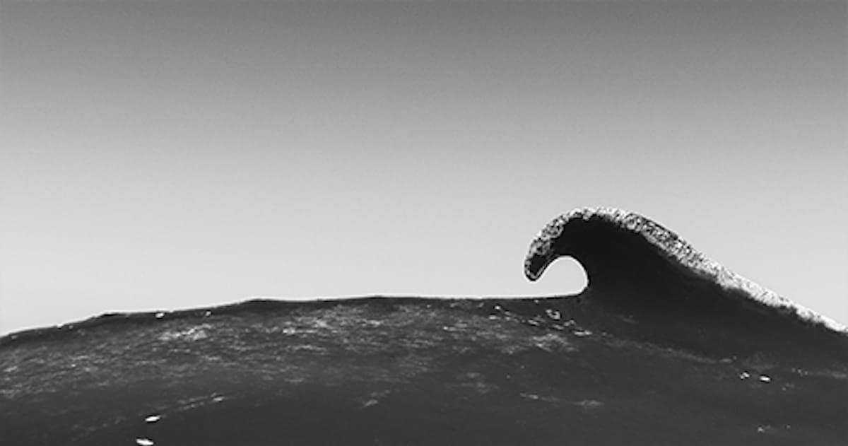 Humpback Whale Photography by Chris Fallows