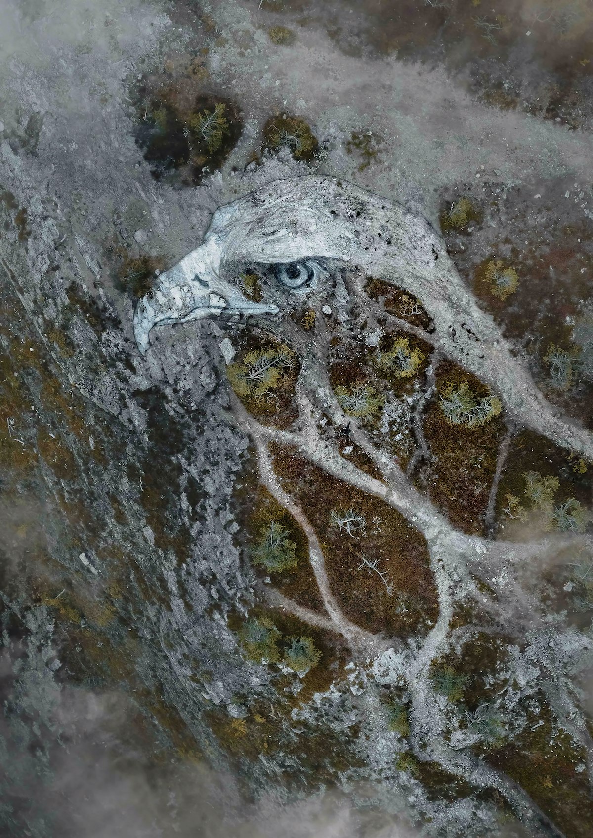 Earth Mural of an Eagle by David Popa