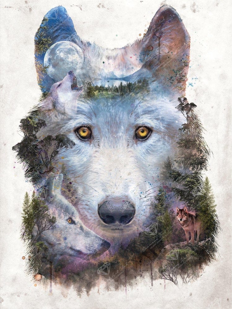 Wolf Diamond Painting Kit