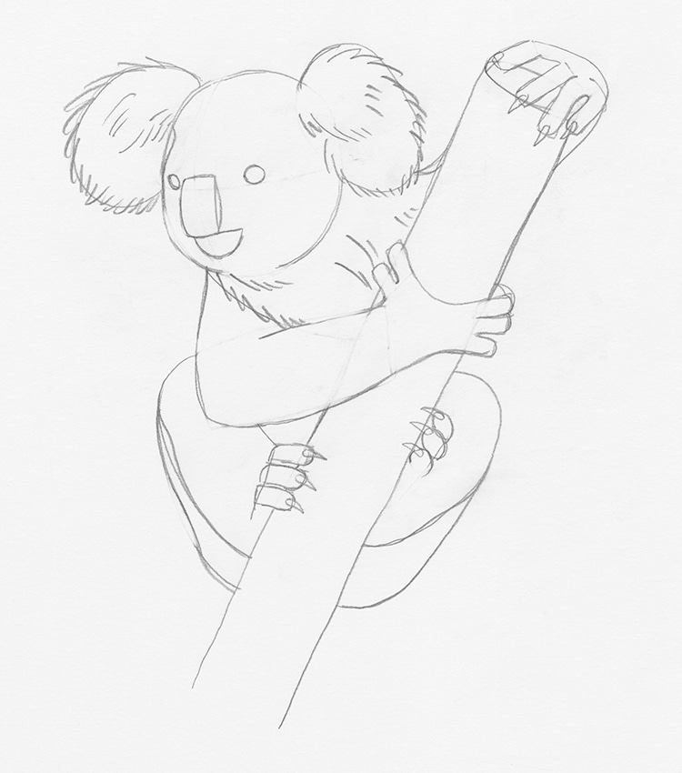 Koala Drawing Sketches For Kids  Kids Art  Craft