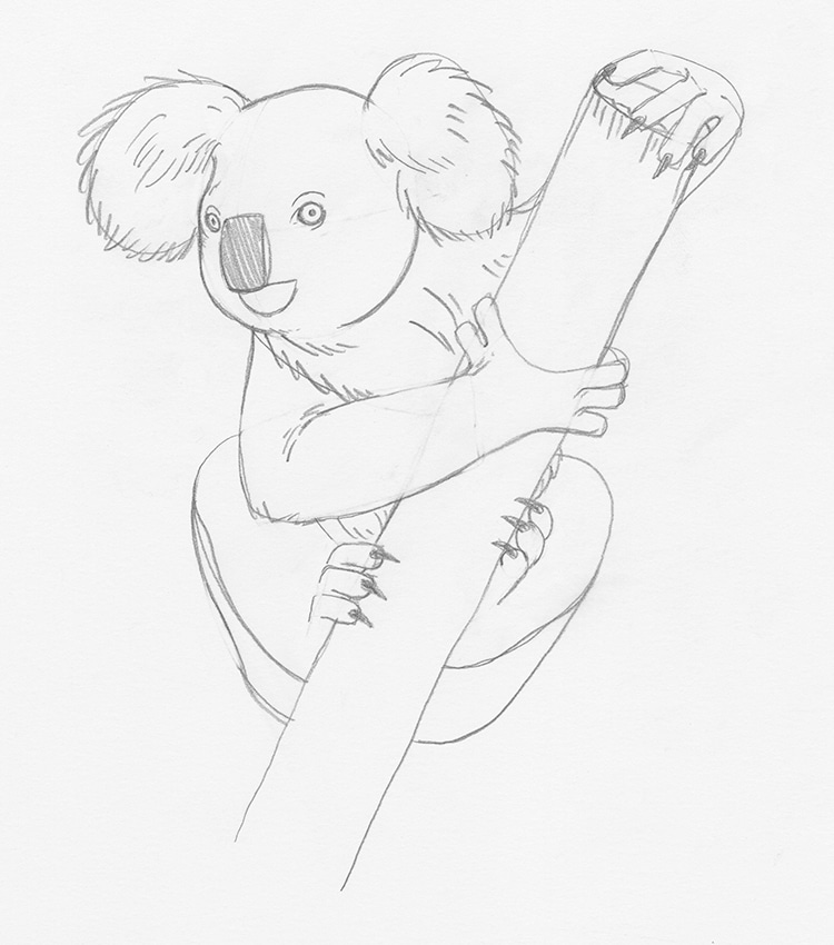 Cute Koala Drawing  How To Draw A Cute Koala Step By Step