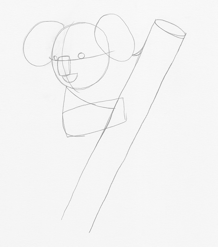 How to Draw a Koala Step by Step