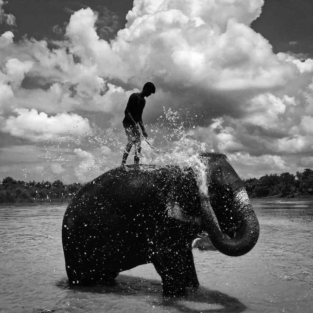 Black and white photo of a boy standing on an elephant
