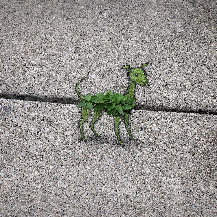 Chalk Art by David Zinn