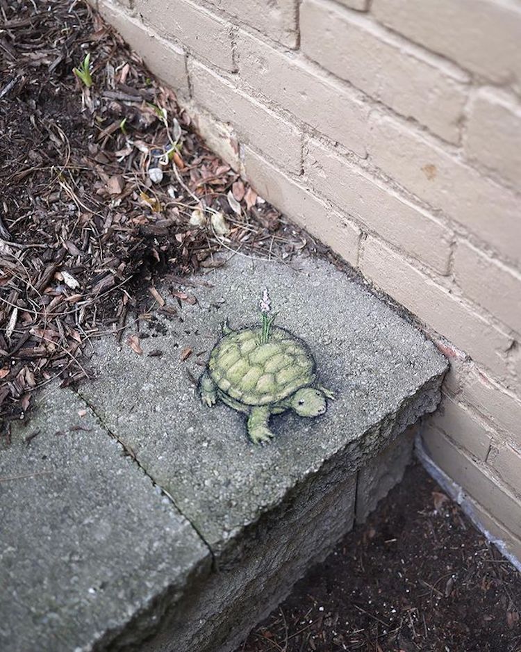 Chalk Art by David Zinn