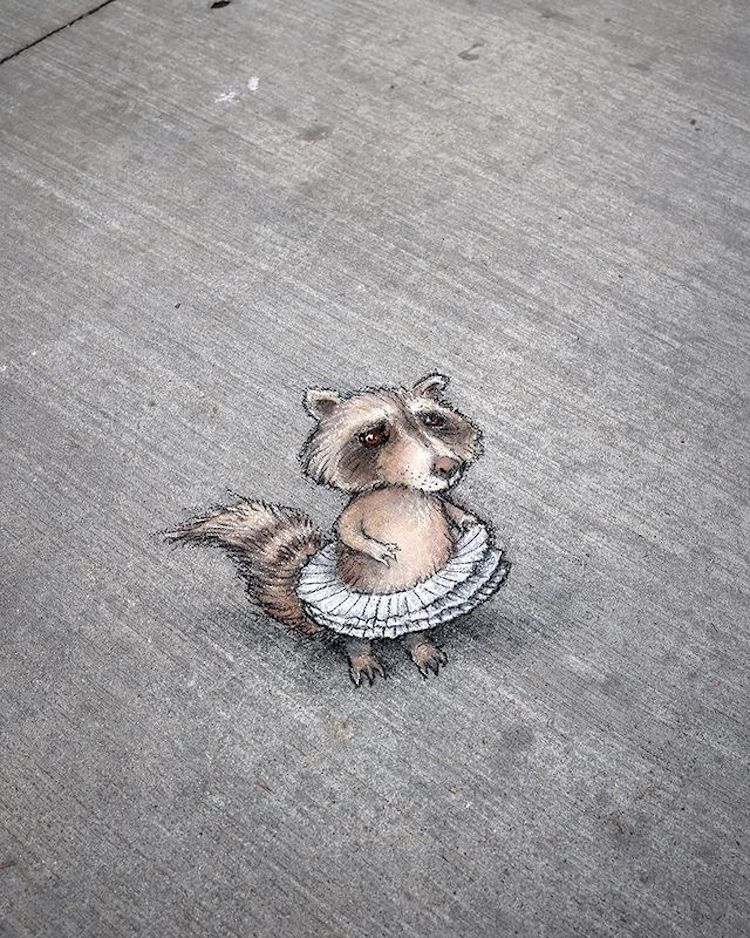 Chalk Art by David Zinn