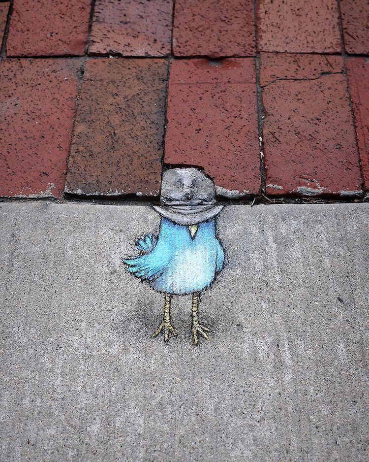 Chalk Art by David Zinn