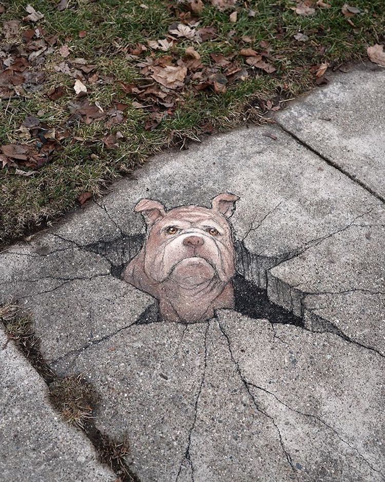 Chalk Art by David Zinn