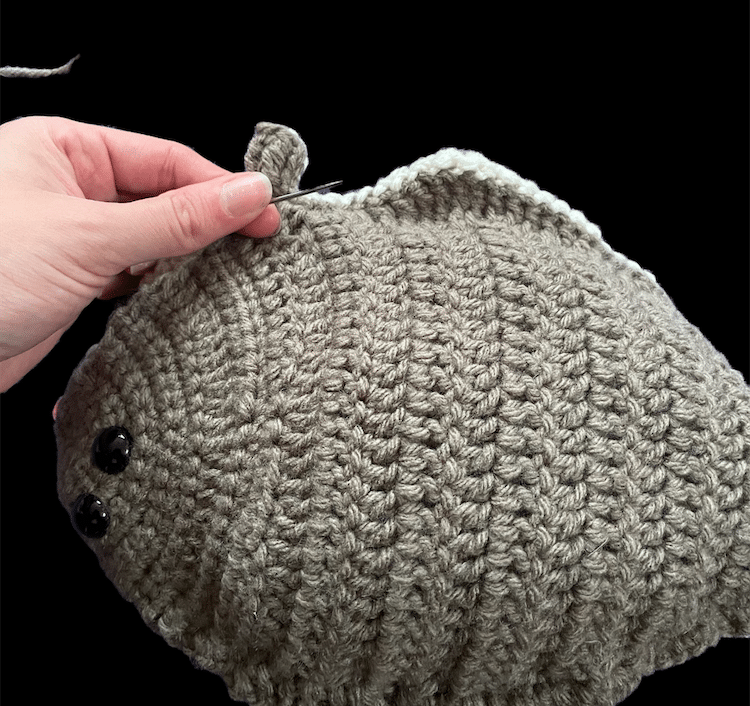 Triops Crochet Pattern (U.S. National Park Service)