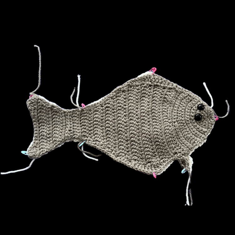 Free Fish Crochet Pattern by the National Park Service