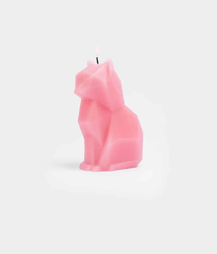 Unique Cat Candle by 54Celcius