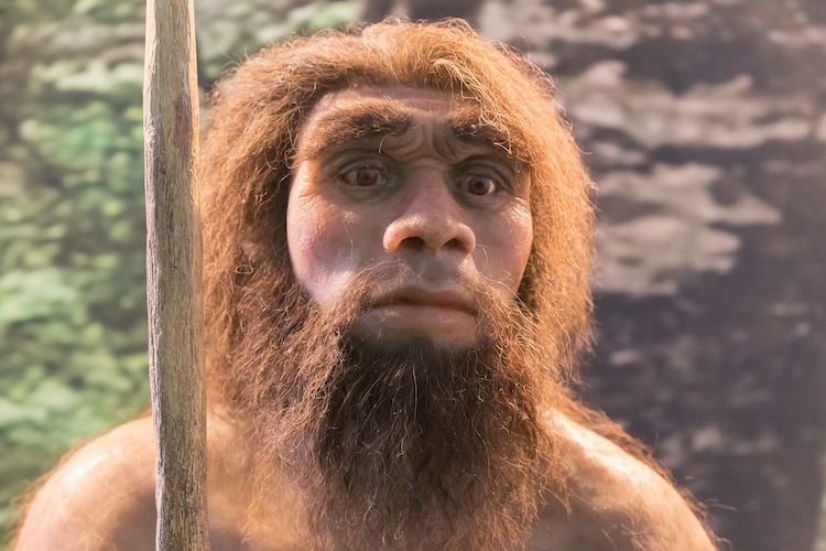 Neanderthal Figure