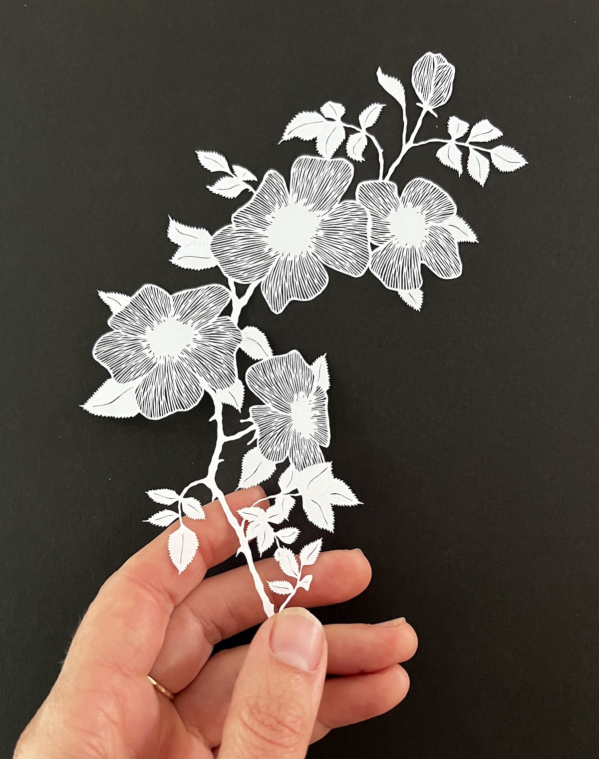 Paper Cut Out Art by Maude White