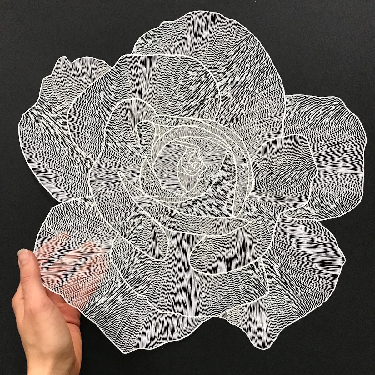 Paper Cut Out Art by Maude White