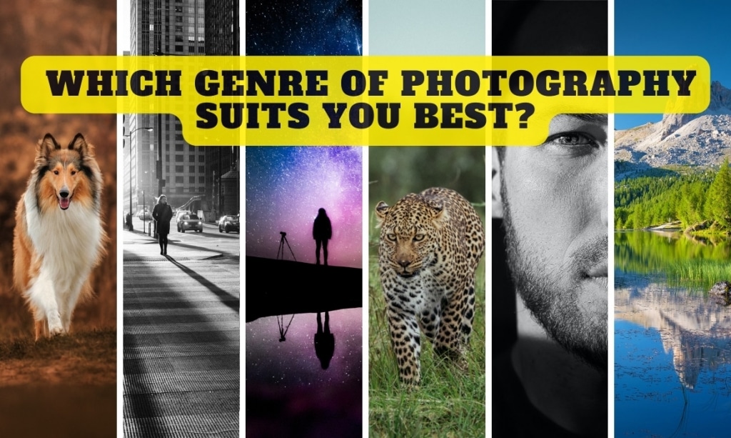 Which Genre of Photography Suits You Best? [Quiz]
