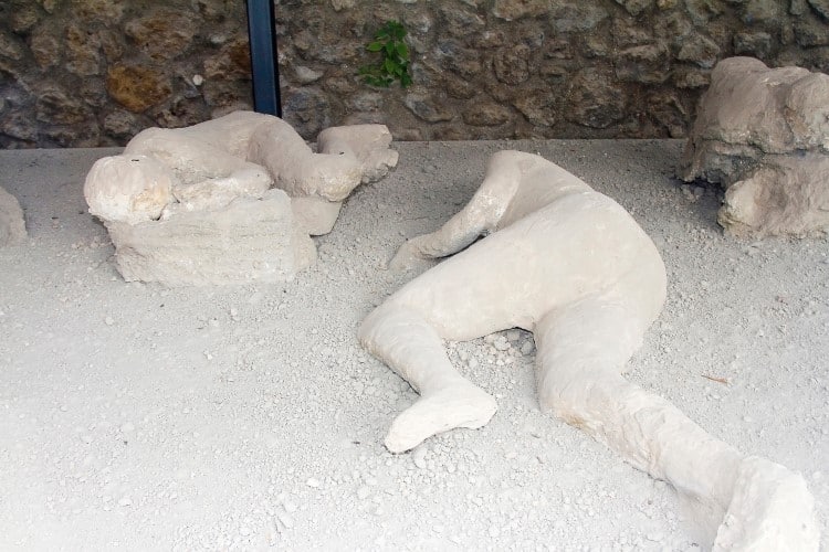 Plaster Cast from Pompeii