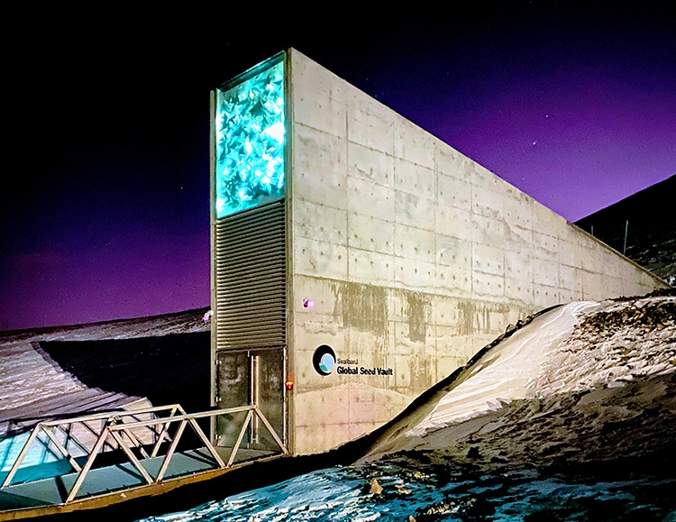 Explore the “Doomsday” Svalbard Global Seed Vault With Virtual Tour