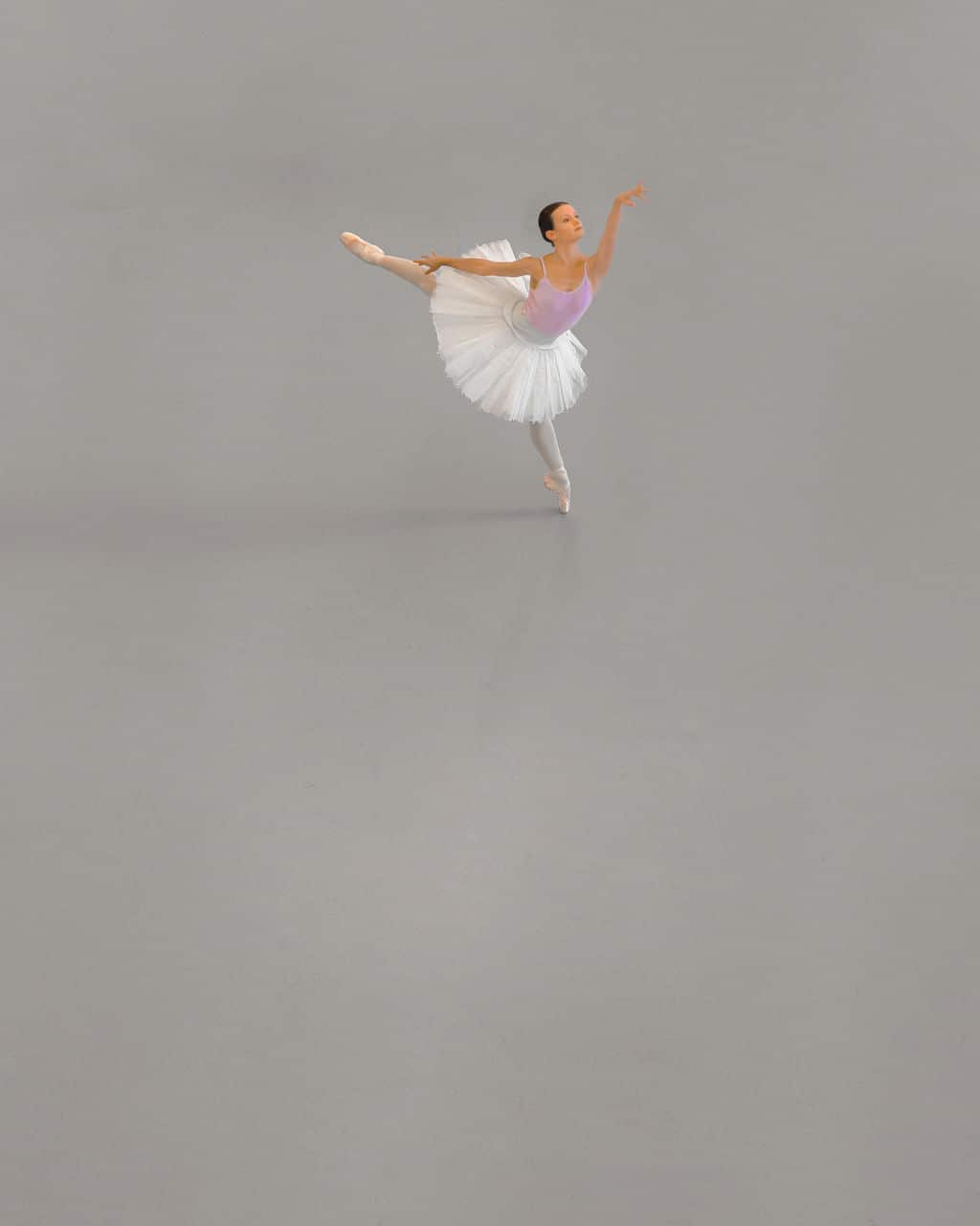 Ballet Dancer by Brad Walls