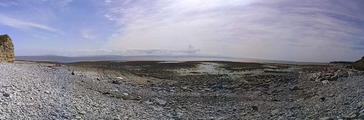 Nine-Year-Old Welsh Boy Finds 200-Million-Year-Old Ammonite Fossil in Beach Cliff