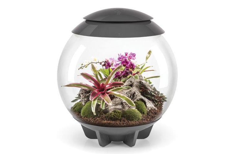 No Green Thumb? Make Terrarium Candles Instead!