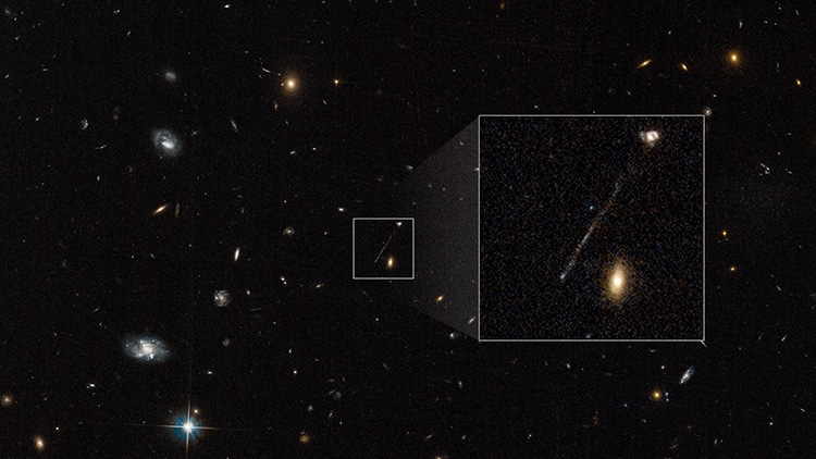Supermassive Black Hole Speeding Through Universe Creates Stars