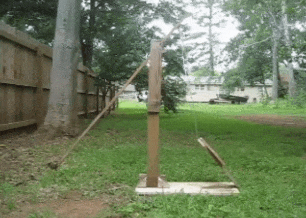 Dog Playing Fetch With Catapult