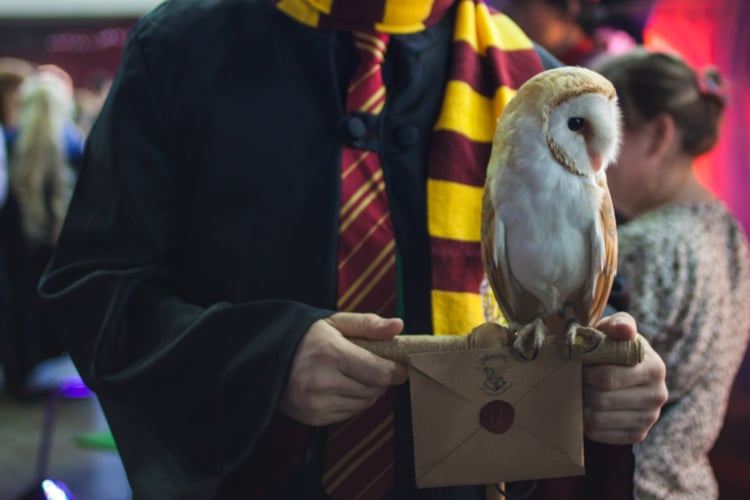 Close-up of person wearing a Harry potter robe, tie, and scarf carrying an owl and a Hogwarts envelope