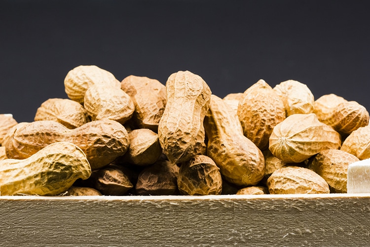 mRNA Lipid Nanoparticle Offers Potential Cure for Peanut Allergy