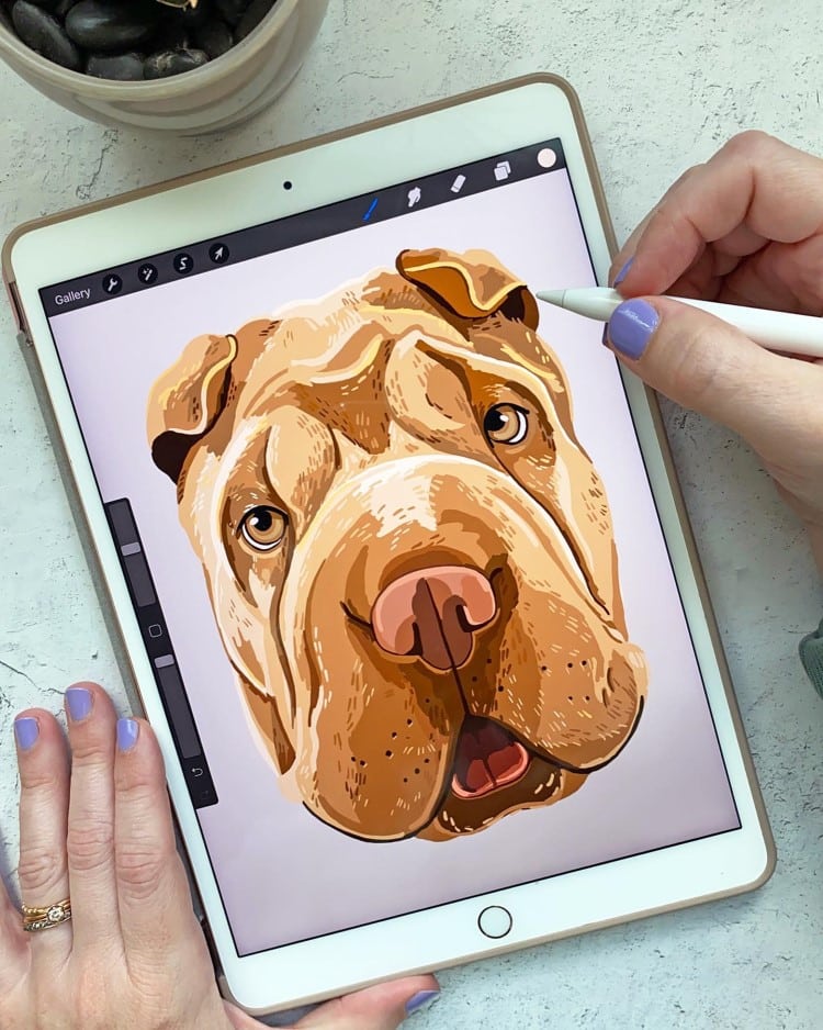 Sara Barnes Sharpei Illustration